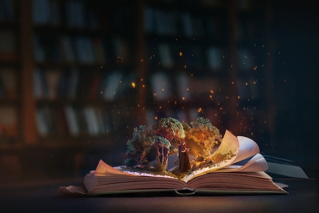 Magic fairytale book concept