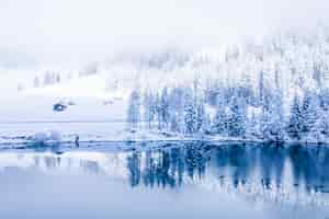 Free photo magical switzerland winter lake in the center of the alps surrounded by the forest covered by snow