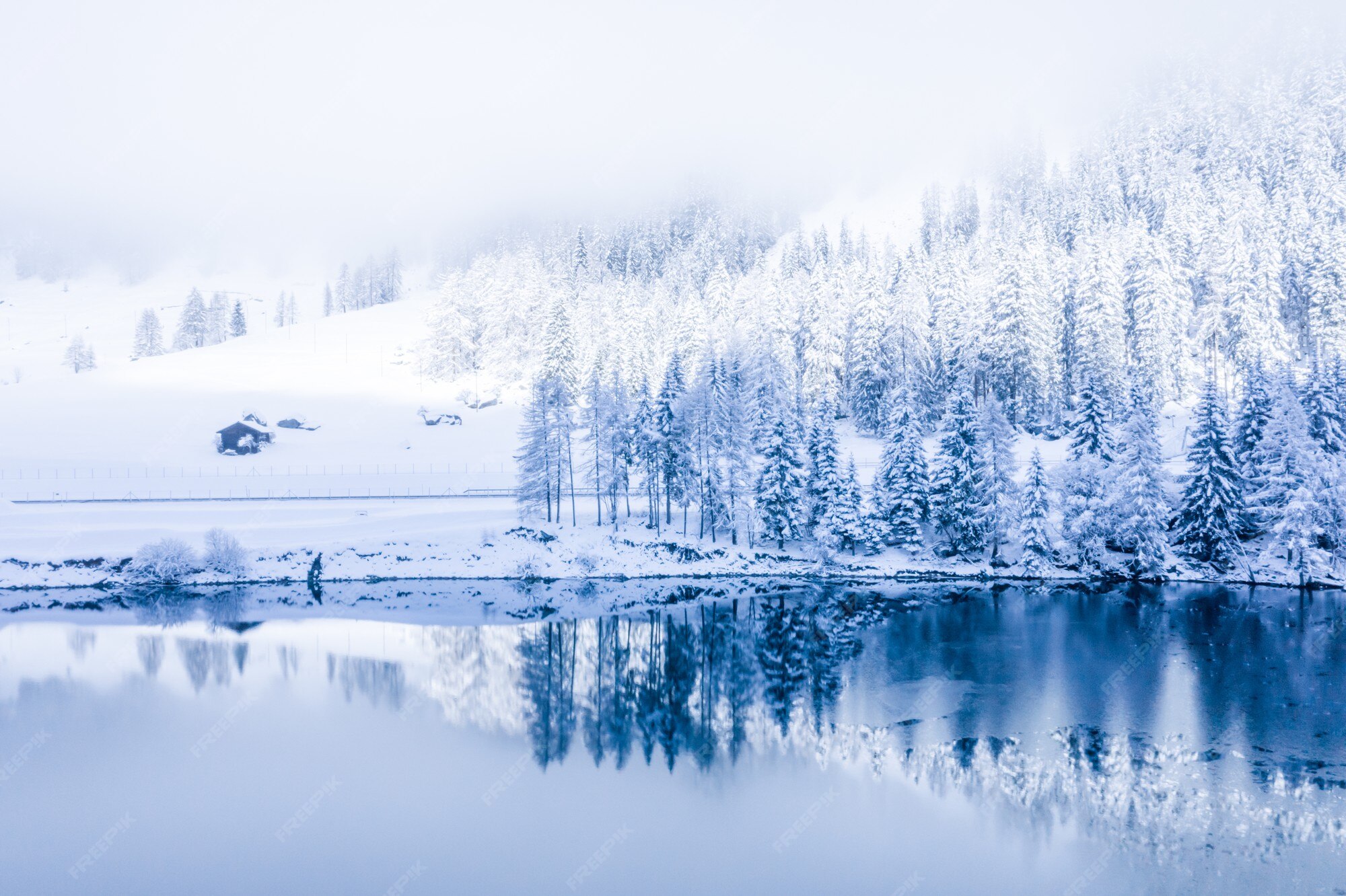 Snow 写真 348 000 高画質の無料ストックフォト