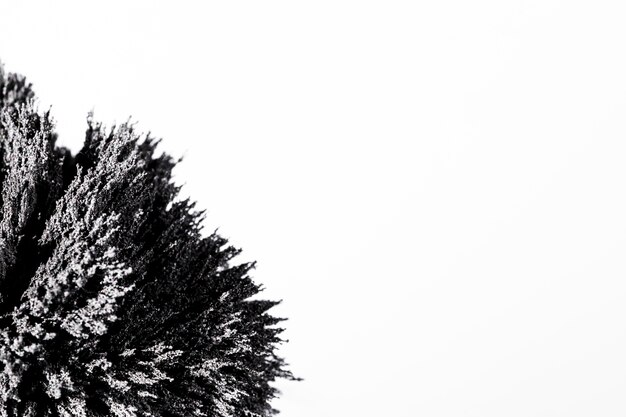 Magnetic metal shaving on the corner of white backdrop