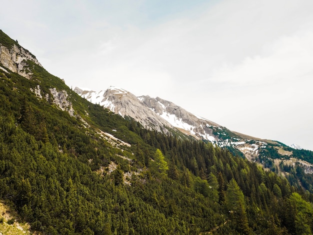緑の木々や雪をかぶった山頂など、夏の雄大なアルプス