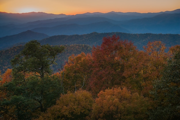 그레이트 스모키 산맥 국립공원(Great Smoky Mountains National Park)의 울창한 숲이 우거진 산맥의 장엄한 사진