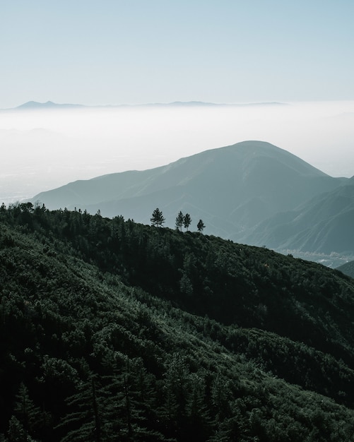 Foto gratuita vista maestosa di una foresta circondata da montagne a big bear, california