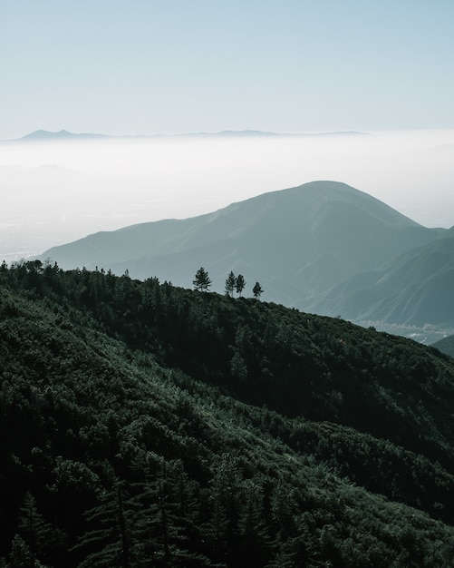 カリフォルニア州ビッグベアの山々に囲まれた森の雄大な景色