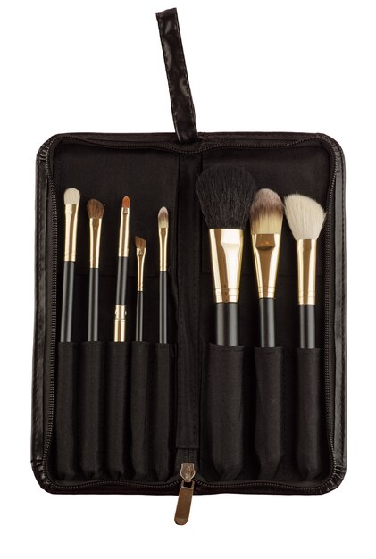 Makeup artist brush kit