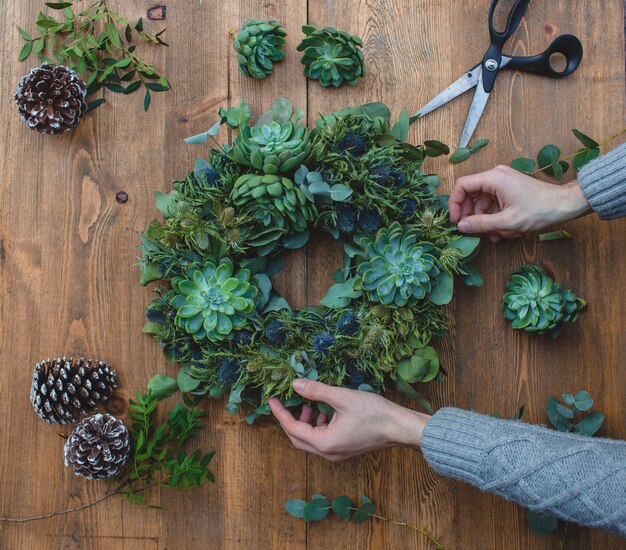 Making green christmas wreath with suculents.