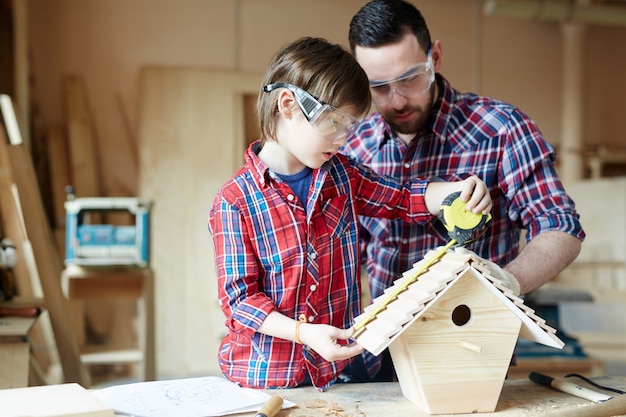 Free photo making starling-house