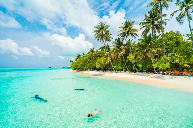 Бесплатное фото Остров мальдивские о-ва