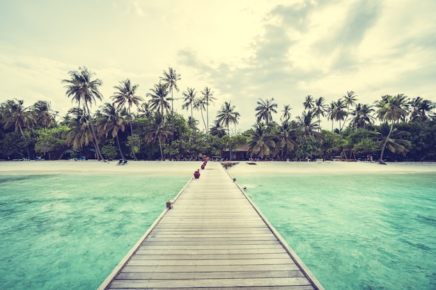 Foto gratuita isola delle maldive