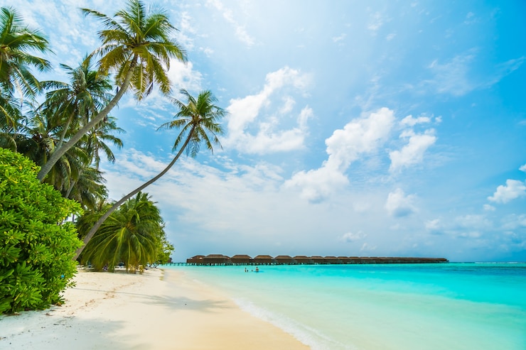Free Photo maldives island