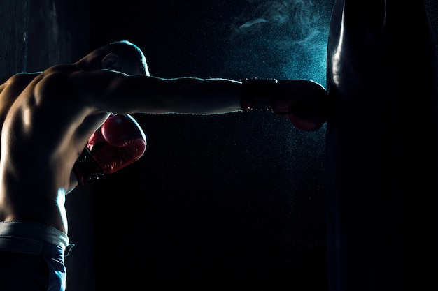 Male boxer boxing in punching bag