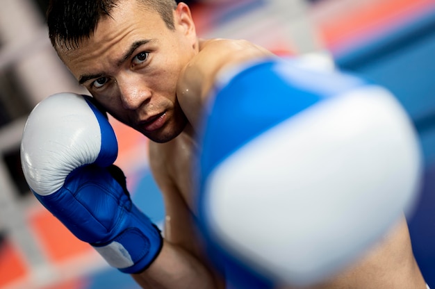 Male boxer with protective gloves