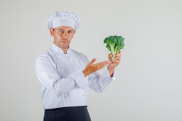 Male chef showing broccoli in his hand in uniform, apron and hat