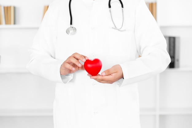 Male doctor hands holding plush heart