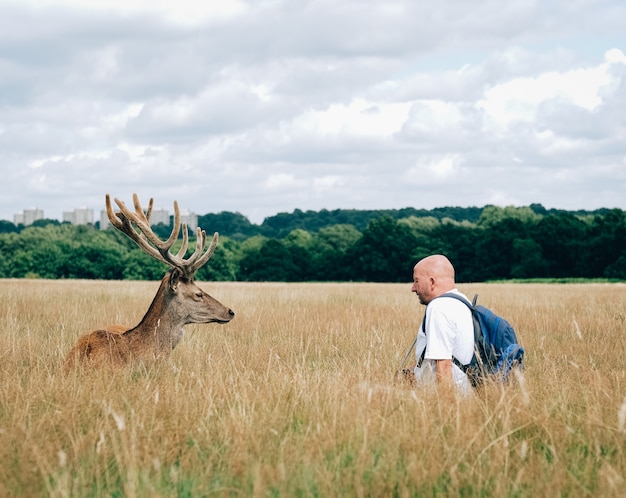 Male elk standing in front of a man with a backpack
