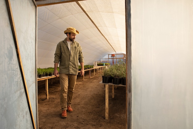 Male farmer in the greenhouse at his farm