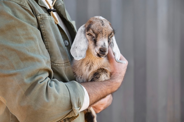 Male farmer holding a cute goat in his arms