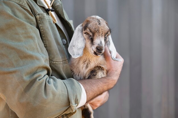 Male farmer holding a cute goat in his arms