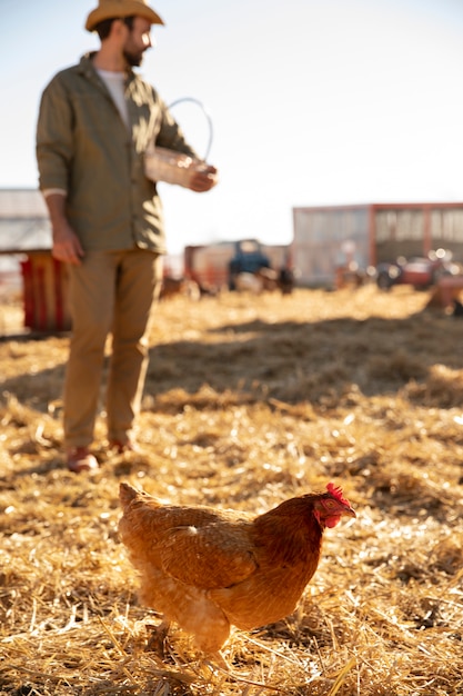 Foto gratuita agricoltore maschio che supervisiona i suoi animali nella fattoria