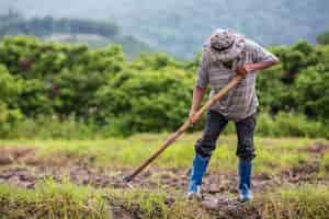 免费照片男性农民用铲子挖稻田土壤。