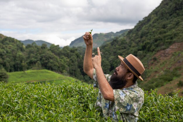 Мужчина-фермер с бородой проверяет чай на ферме.