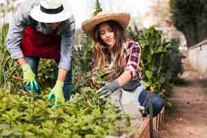 Foto gratuita giardiniere maschio e femmina che pota le piante nel giardino domestico