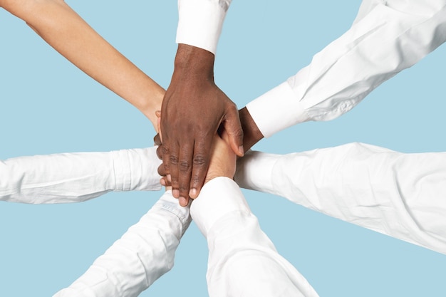 Free photo male and female hands joining isolated on blue wall.