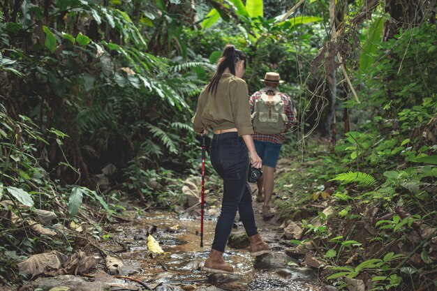 Male and female tourists are enjoying the forest.