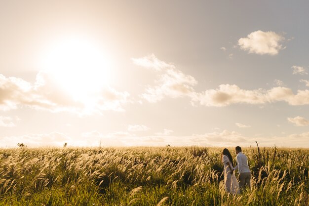 Male and a female walking in the green meadow on a sunny day