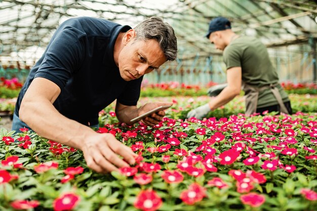 花の世話をし、植物の苗床で働いている間、デジタルタブレットを使用している男性の花屋