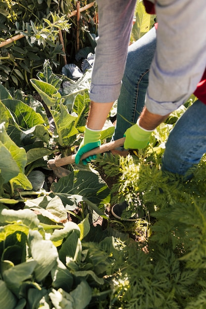 Foto gratuita un giardiniere maschio che coltiva le piante nel giardino