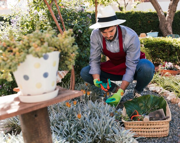 Foto gratuita giardiniere maschio che taglia il fiore raccolto nel giardino