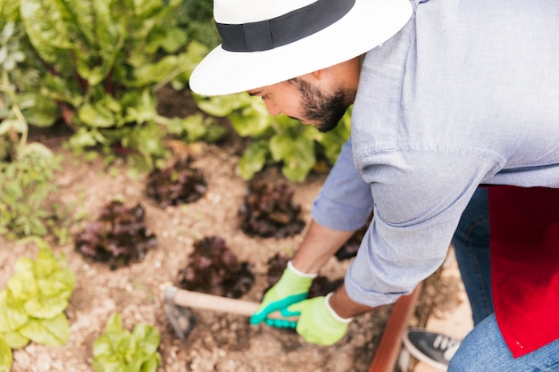 A male gardener digging the soil in the vegetable garden