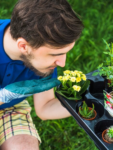 Male gardener looking at succulent plant