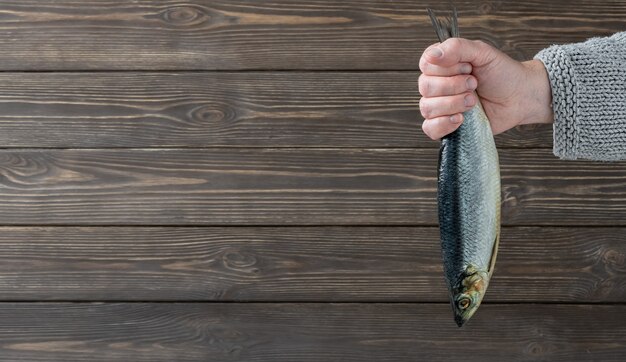 Male hand holding salted atlantic herring