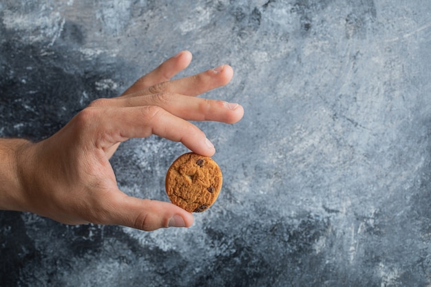 Male hands holding delicious chocolate chip cookies on marble background