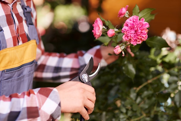 Male human hand pruning flower