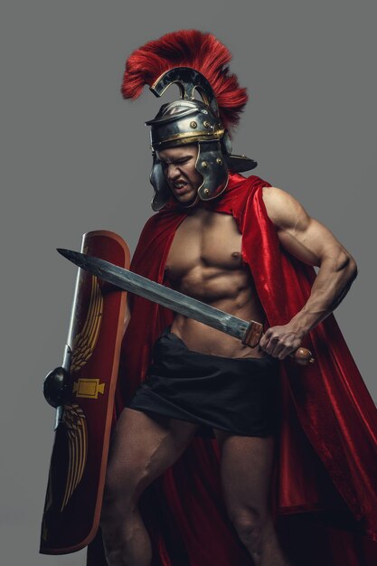 Male model in gladiator pose with sword and shield isolated on a grey background.