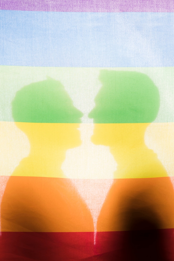 무료 Photo lgbt 깃발 뒤에 남성 실루엣