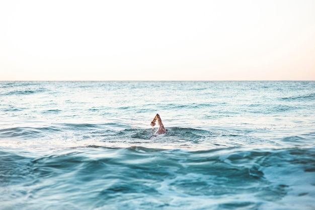 Male swimmer swimming in the ocean with copy space