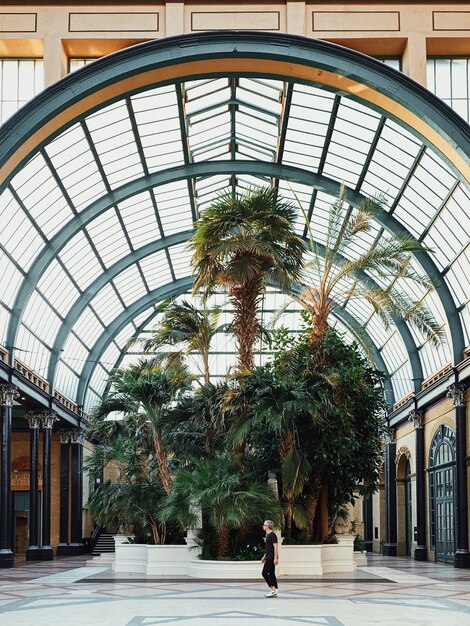 A male walking near tall trees inside of a building