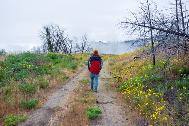 Male in a warm jacket walking on a narrow road in a beautiful field