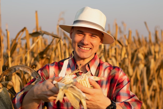 Foto gratuita maschio che indossa una camicia di flanella raccogliendo mais su un bellissimo campo di mais su un tramonto