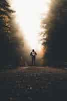 Free photo male with a backpack standing on a path between tall thick trees looking at the light