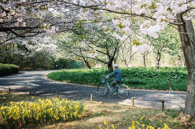 человек на велосипеде по тропинке в парке сакуры