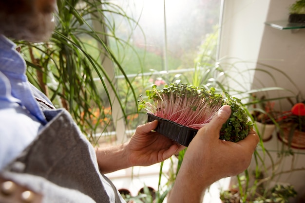 無料写真 屋内で食用植物を栽培および栽培する男性