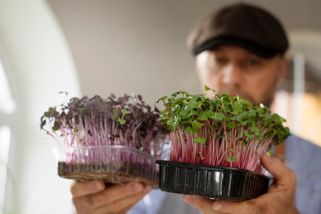 屋内で食用植物を栽培および栽培する男性