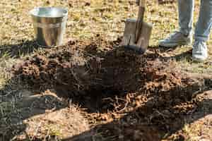 Free photo man digging a hole with shovel to plant a tree