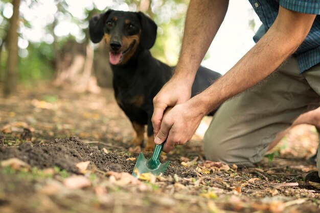 訓練を受けた犬の助けを借りてトリュフを見つけるためにシャベルで掘る男の専門家
