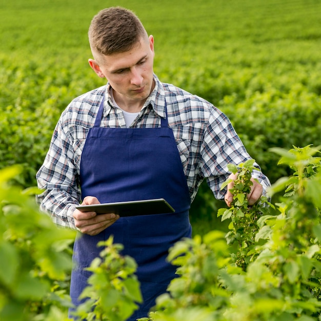 Free photo man at farm with tablet